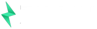 Logo zippin